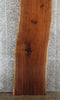 Thumbnail for Black Walnut Live Edge Bar Top Slab, Wood Countertop 20537