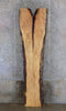 Thumbnail for Maple Live Edge Reception/Kitchen Table Top Slab 20540