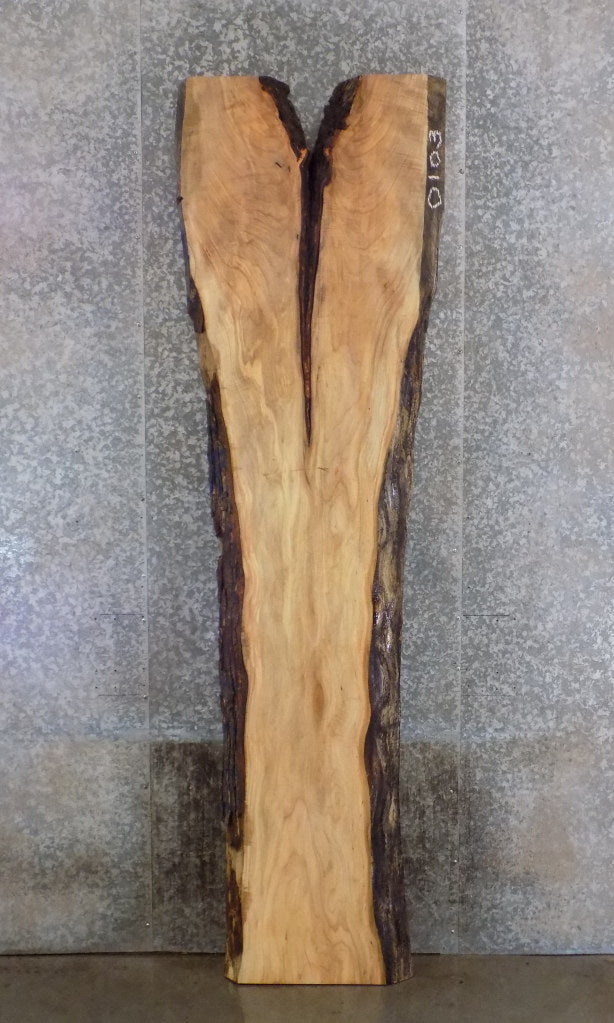 Maple Live Edge Reception/Kitchen Table Top Slab CLOSEOUT 20540