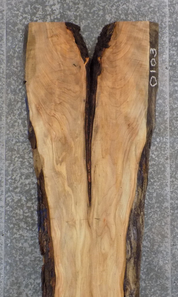Maple Live Edge Reception/Kitchen Table Top Slab 20540