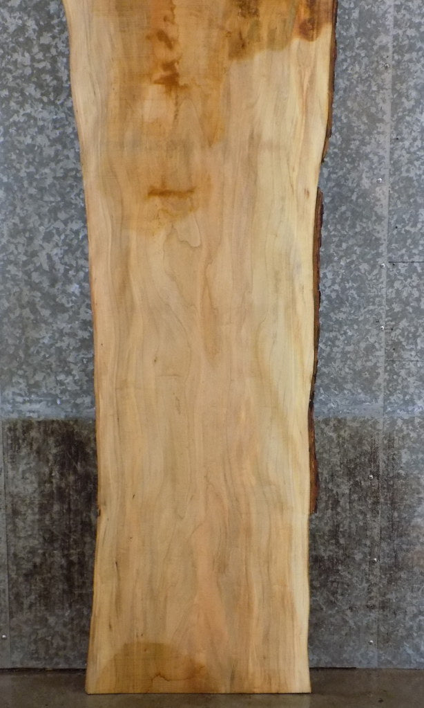 Maple Live Edge Reception/Kitchen Table Top Slab 20540