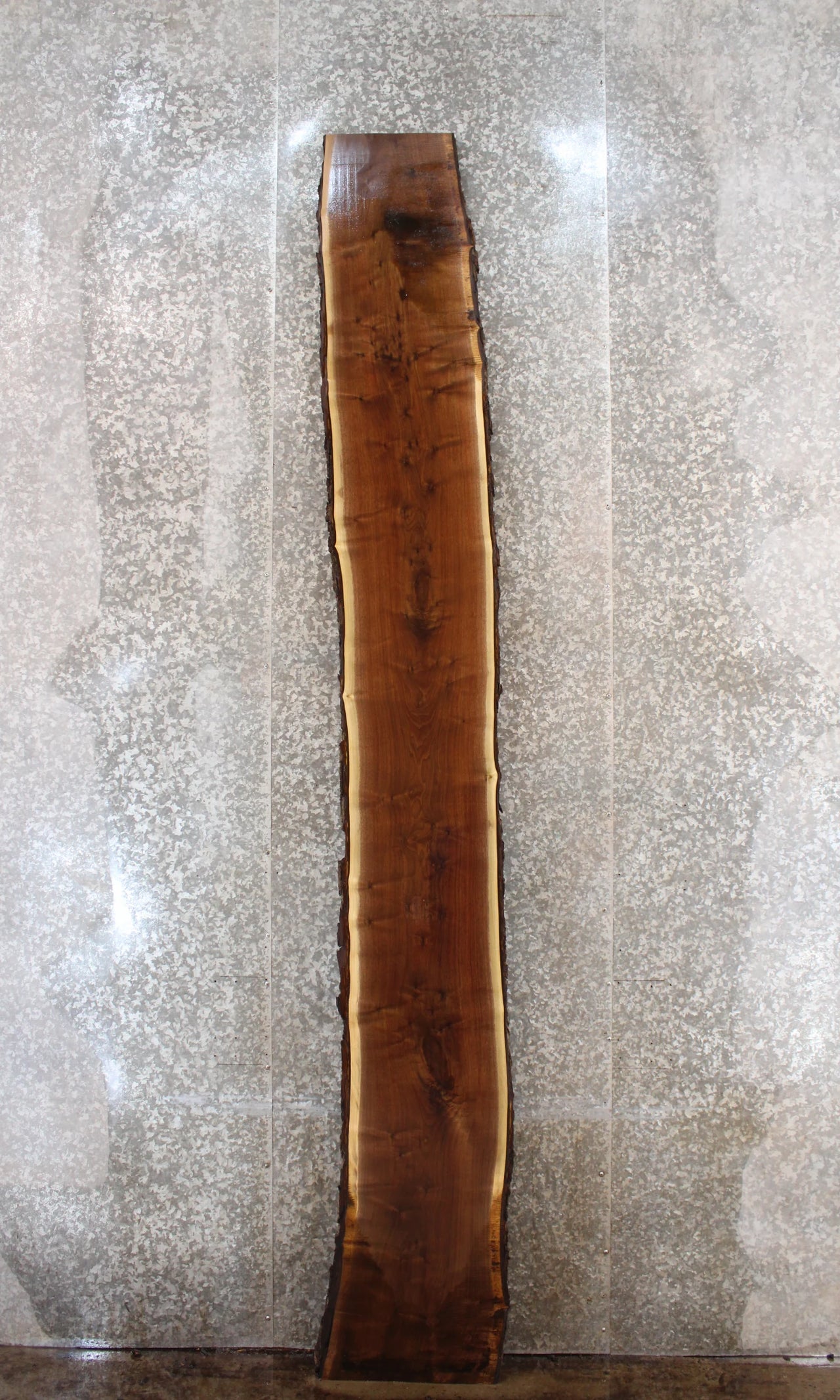 Live Edge Black Walnut Bar Top Slab 20556