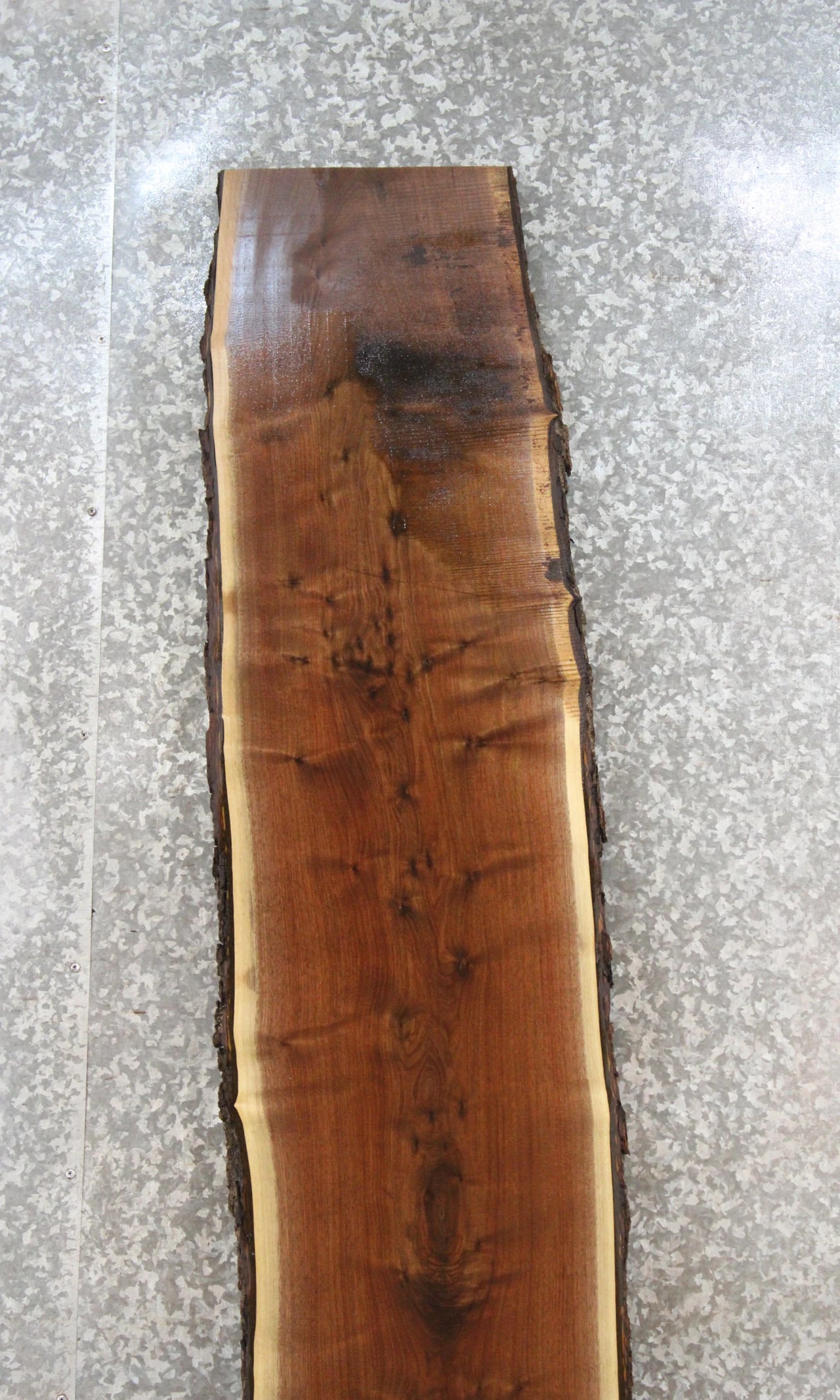 Live Edge Black Walnut Bar Top Slab 20556