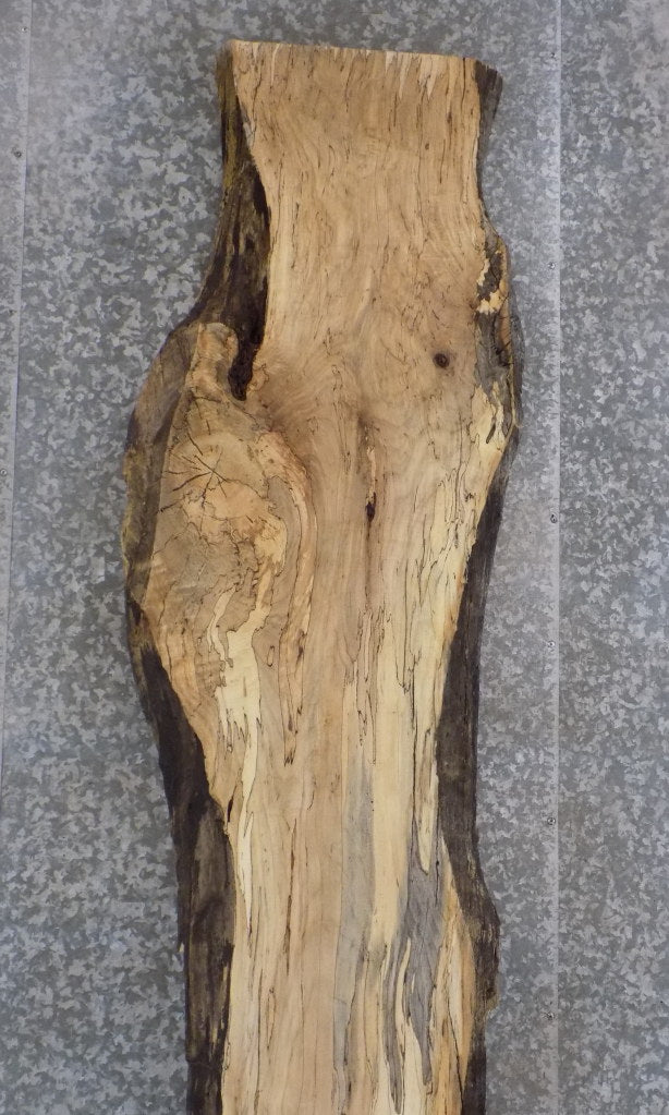 Rustic Live Edge Spalted Maple Bar/Table Top Wood Slab 20557