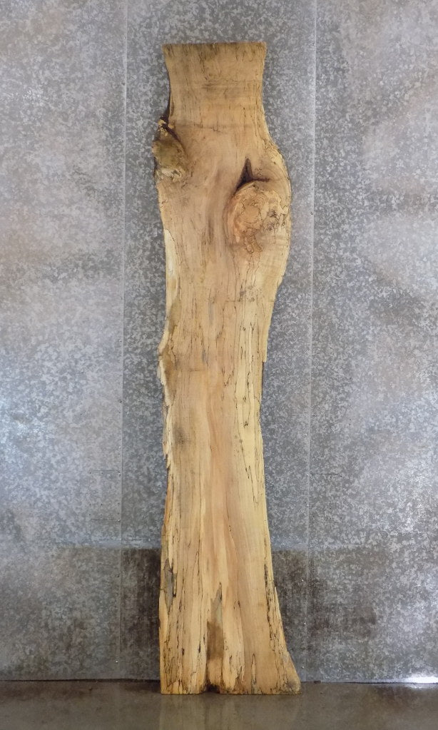 Rustic Live Edge Spalted Maple Bar/Table Top Wood Slab 20557