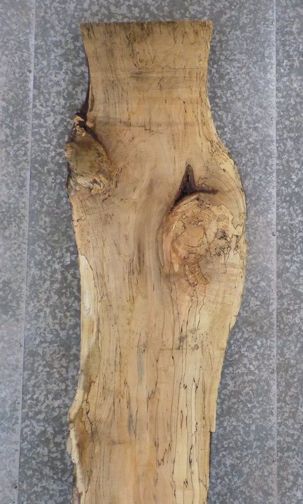 Rustic Live Edge Spalted Maple Bar/Table Top Wood Slab 20557