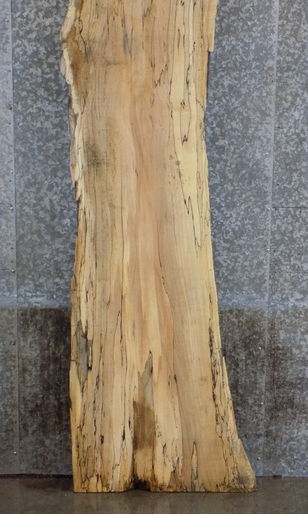 Rustic Live Edge Spalted Maple Bar/Table Top Wood Slab 20557