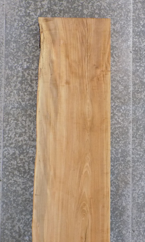 Rustic Partial Live Edge Maple Bar/Reception Table Top Slab 20561