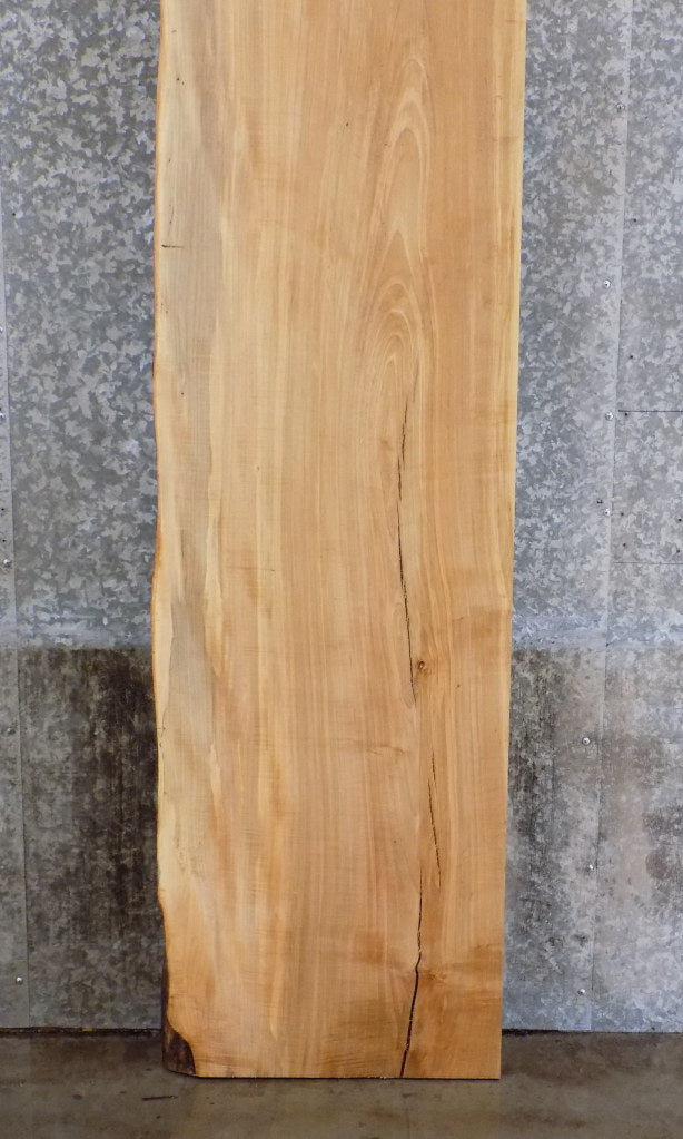 Rustic Partial Live Edge Maple Bar Top, Reception Area Slab 20561