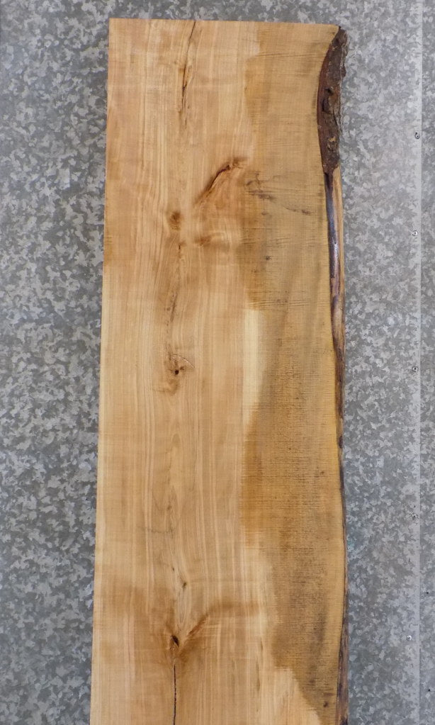 Rustic Partial Live Edge Maple Bar Top, Reception Area Slab 20561