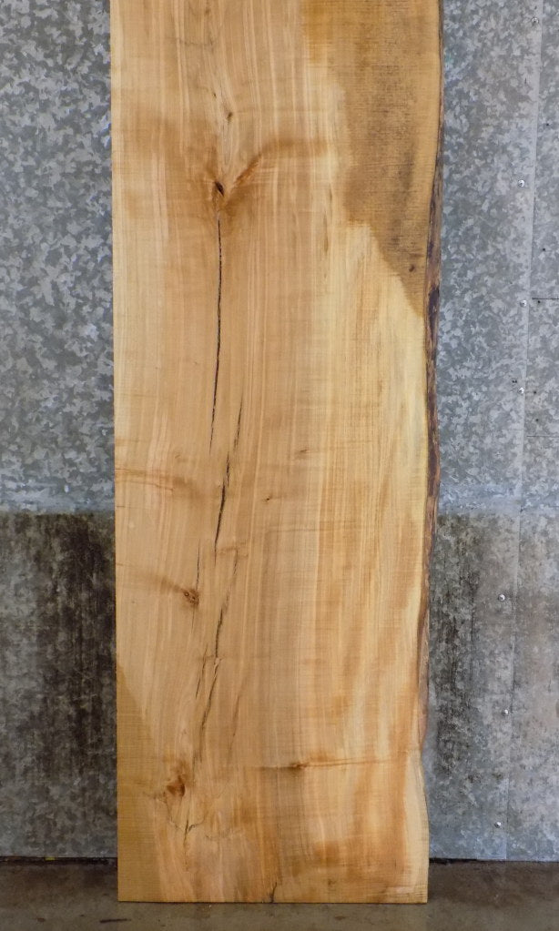 Rustic Partial Live Edge Maple Bar/Reception Table Top Slab 20561