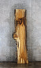 Thumbnail for Hickory Live Edge/Natural Edge Bar Table/Desk Slab 20562