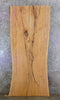 Thumbnail for 2- Live Edge Ash Rustic Dining Table Top Slabs, Office Desk Top 20564-20565