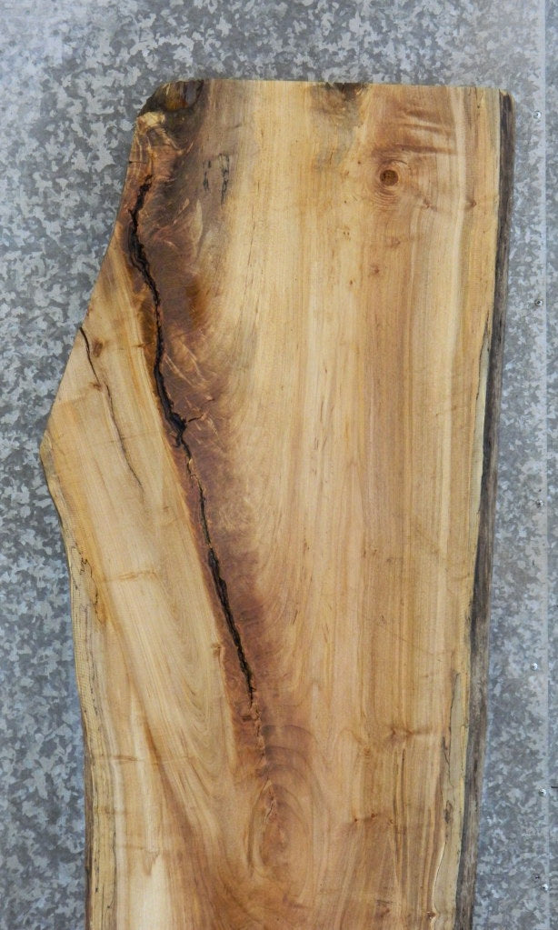 Live Edge Spalted Maple Headboard Wood Slab CLOSEOUT 20597