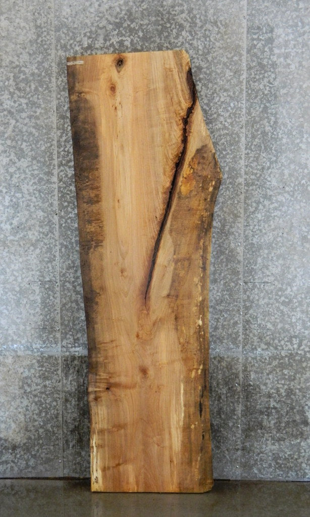 Live Edge Spalted Maple Headboard Wood Slab CLOSEOUT 20597