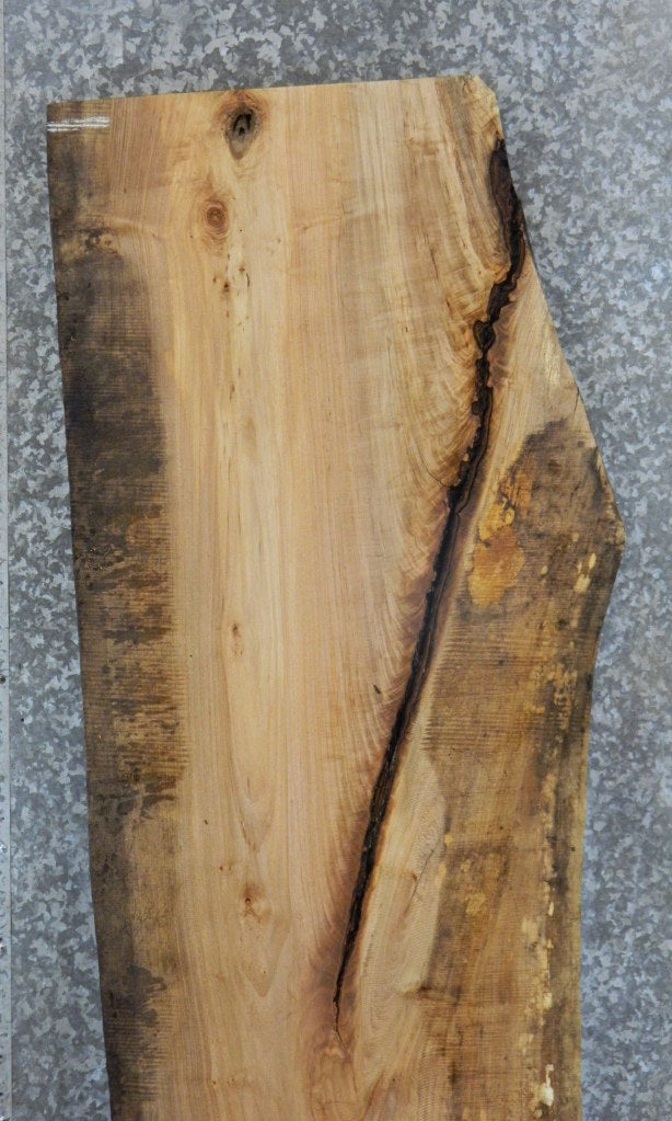Live Edge Spalted Maple Headboard Wood Slab CLOSEOUT 20597