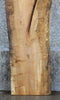 Thumbnail for Live Edge Spalted Maple Headboard Wood Slab 20597