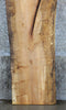 Thumbnail for Live Edge Spalted Maple Headboard Wood Slab CLOSEOUT 20597