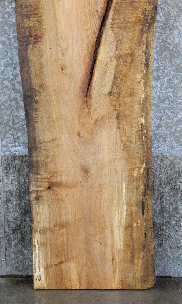 Live Edge Spalted Maple Headboard Wood Slab CLOSEOUT 20597