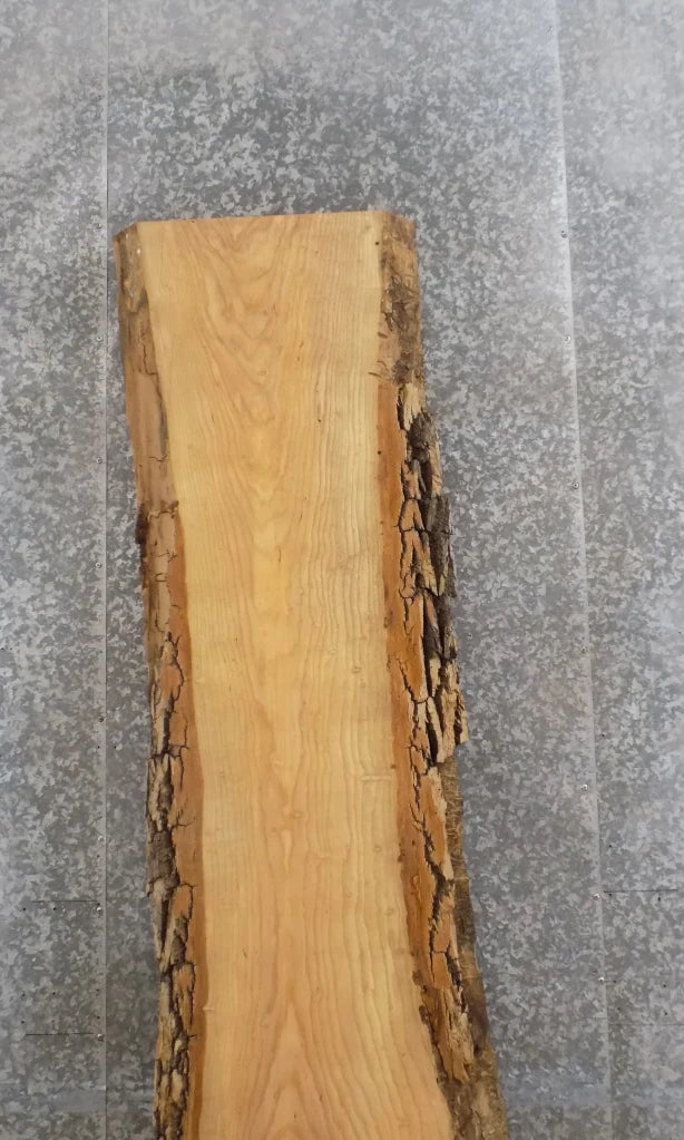 Live Edge Ash Bar Top, Console Table Top, Countertop Slab 20628