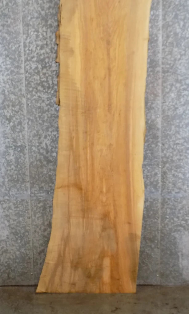 Live Edge Ash Bar Top, Console Table Top, Countertop Slab 20628