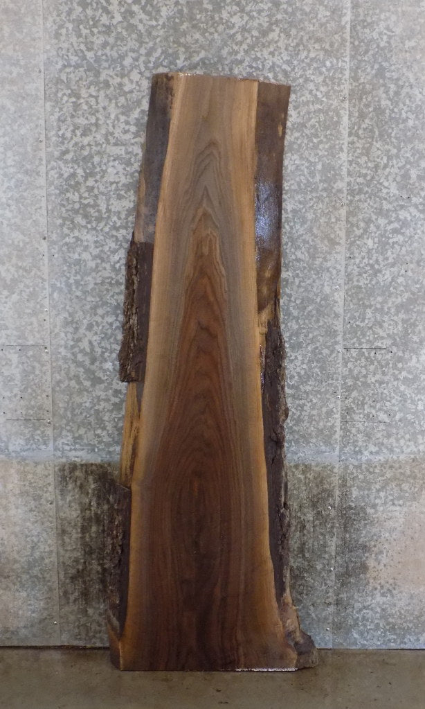 Live Edge Black Walnut Reception Table/Desk Top Slab CLOSEOUT 20632