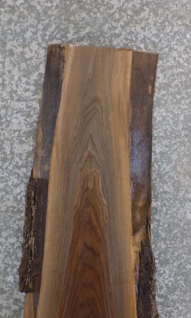 Live Edge Black Walnut Reception Table/Desk Top Slab CLOSEOUT 20632