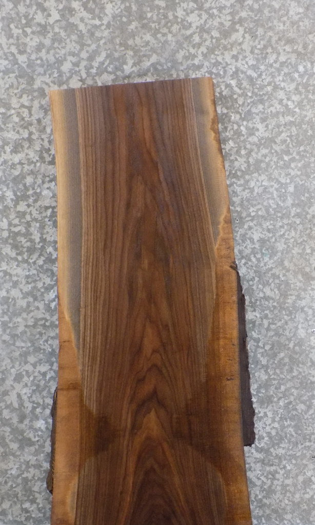 Live Edge Black Walnut Reception Table/Desk Top Slab CLOSEOUT 20632
