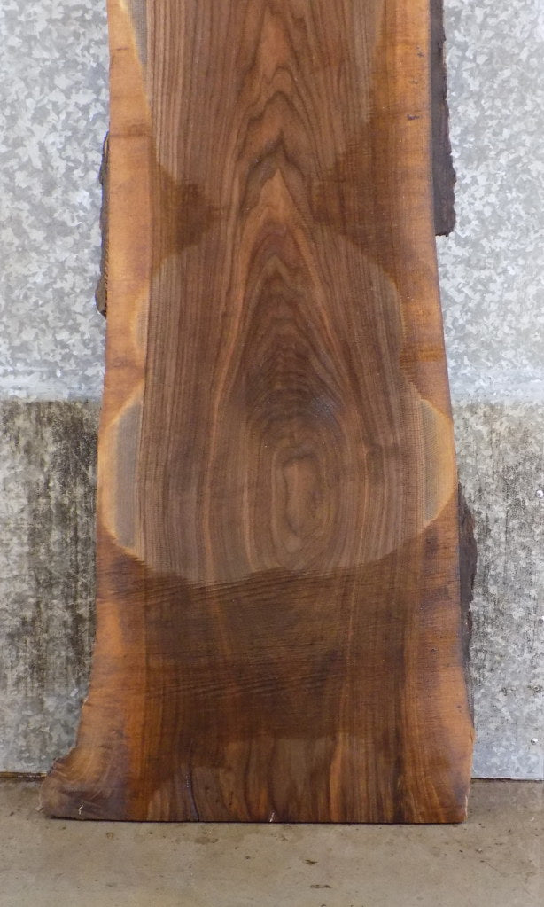 Live Edge Black Walnut Reception Table/Desk Top Slab CLOSEOUT 20632