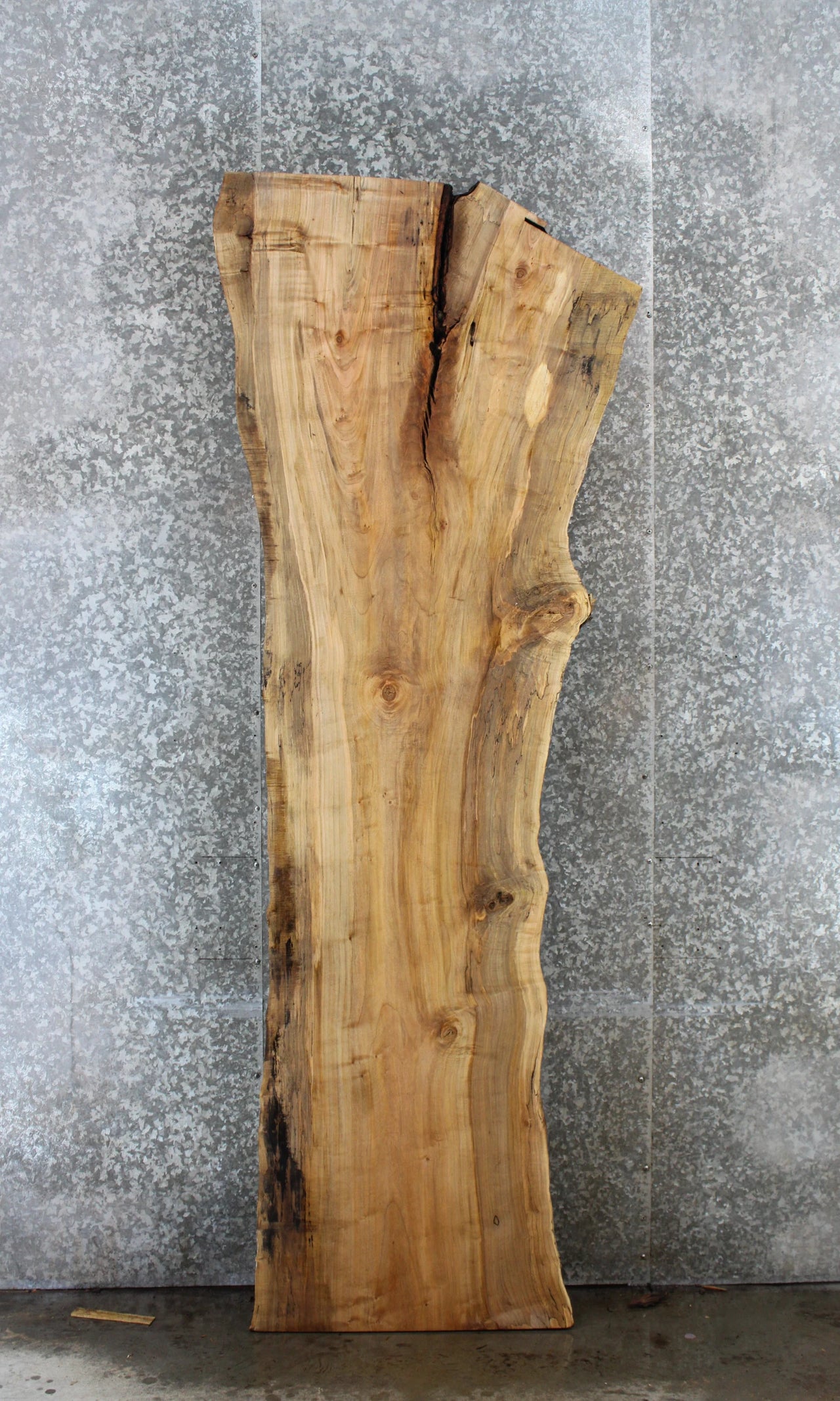 Spalted Maple Live Edge Desk/Bar Top Slab 20632