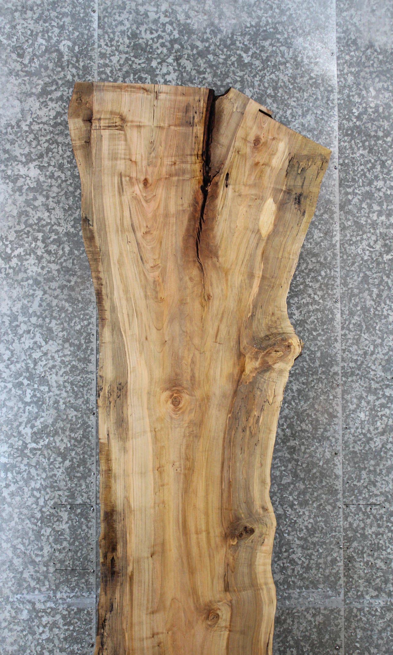 Spalted Maple Live Edge Desk/Bar Top Slab 20632