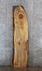 Thumbnail for Spalted Maple Bar Top Slab, Live Edge Wood Slab 20641