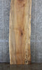 Thumbnail for Spalted Maple Bar Top Slab, Live Edge Wood Slab 20641