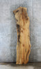 Thumbnail for Natural Live Edge Spalted Maple Bar Top/Desk Top Slab 20642