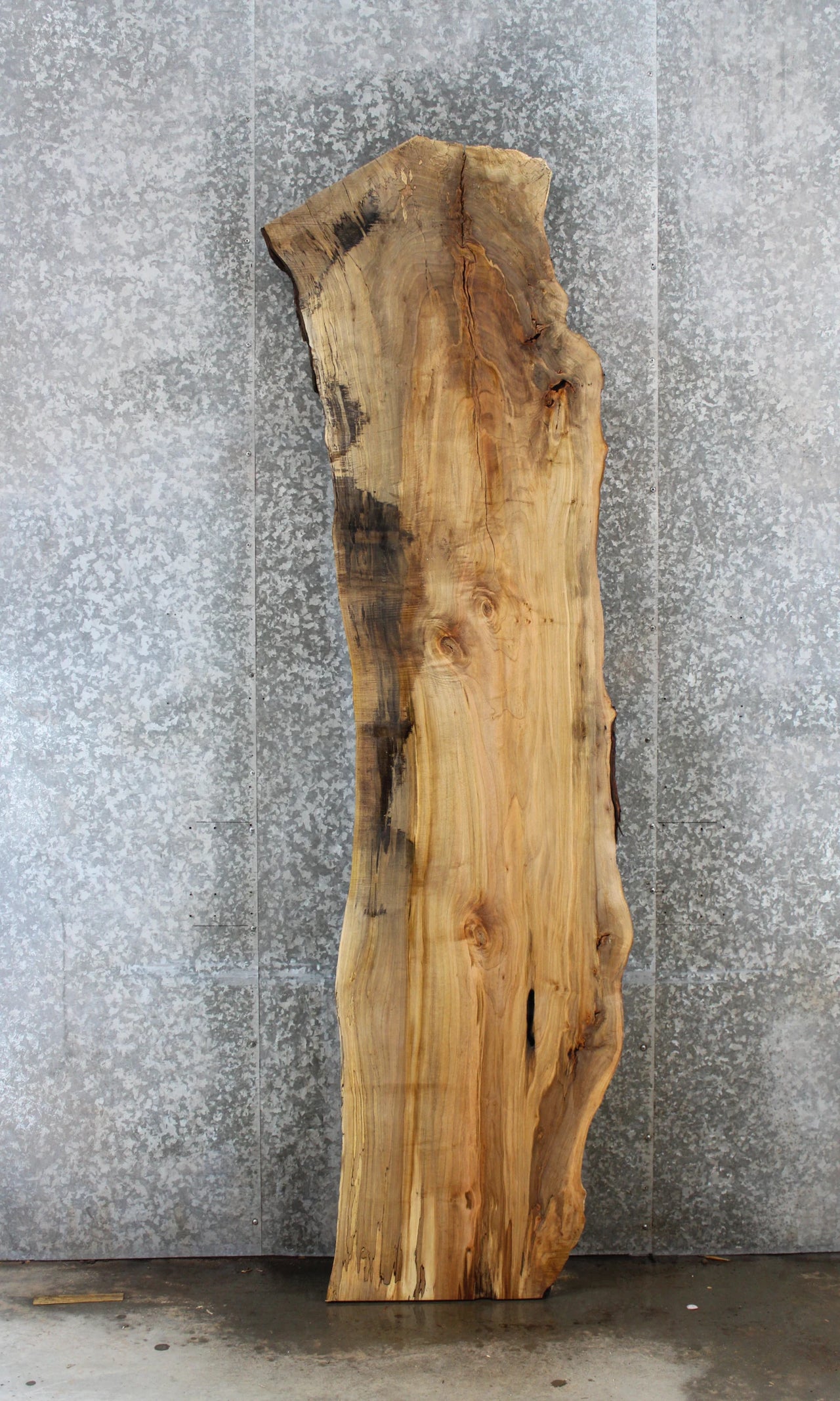 Natural Live Edge Spalted Maple Bar Top/Desk Top Slab 20642