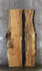 Thumbnail for 2- Spalted Maple Live Edge Book Match Slabs 20646-20647