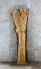 Thumbnail for Rustic Spalted Maple Bar Top/Console Table Crotch Slab 20652