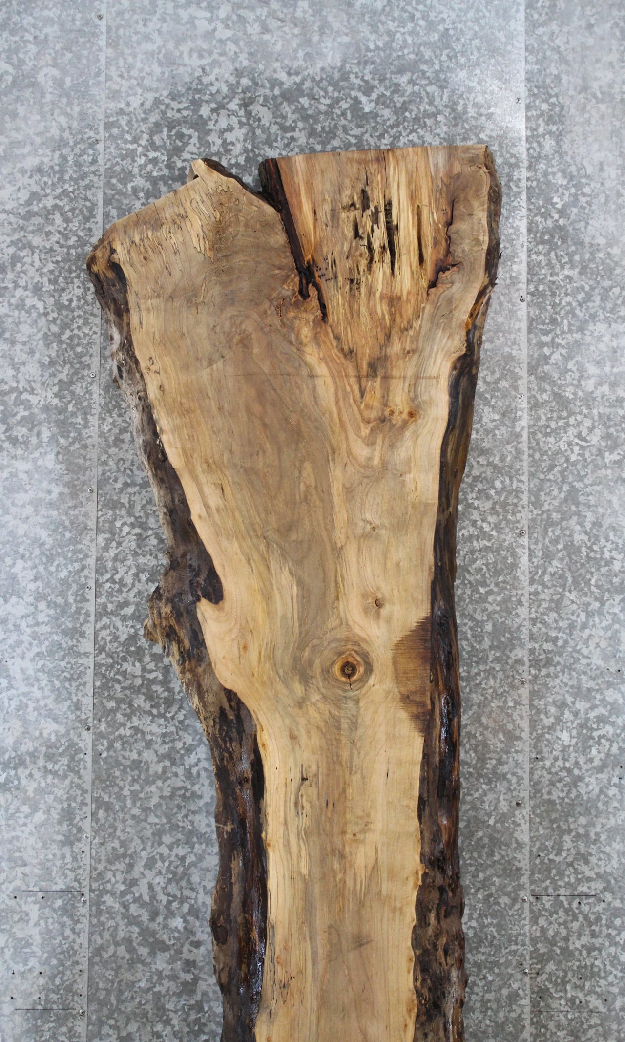 Rustic Spalted Maple Bar Top/Console Table Crotch Slab 20652