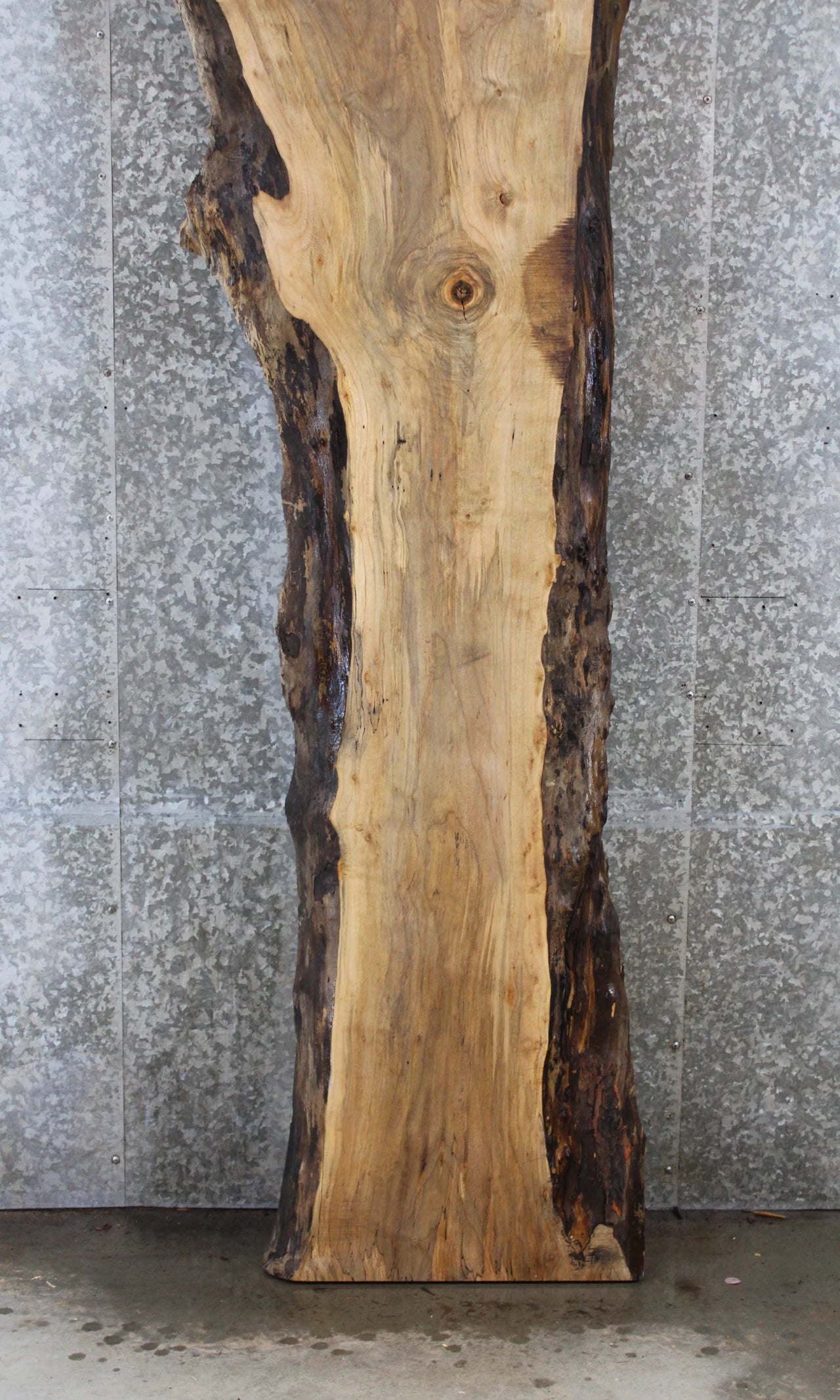 Rustic Spalted Maple Bar Top/Console Table Crotch Slab 20652