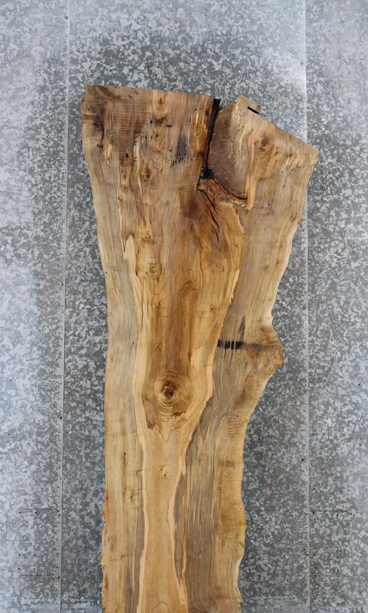 Rustic Spalted Maple Bar Top/Console Table Crotch Slab 20652