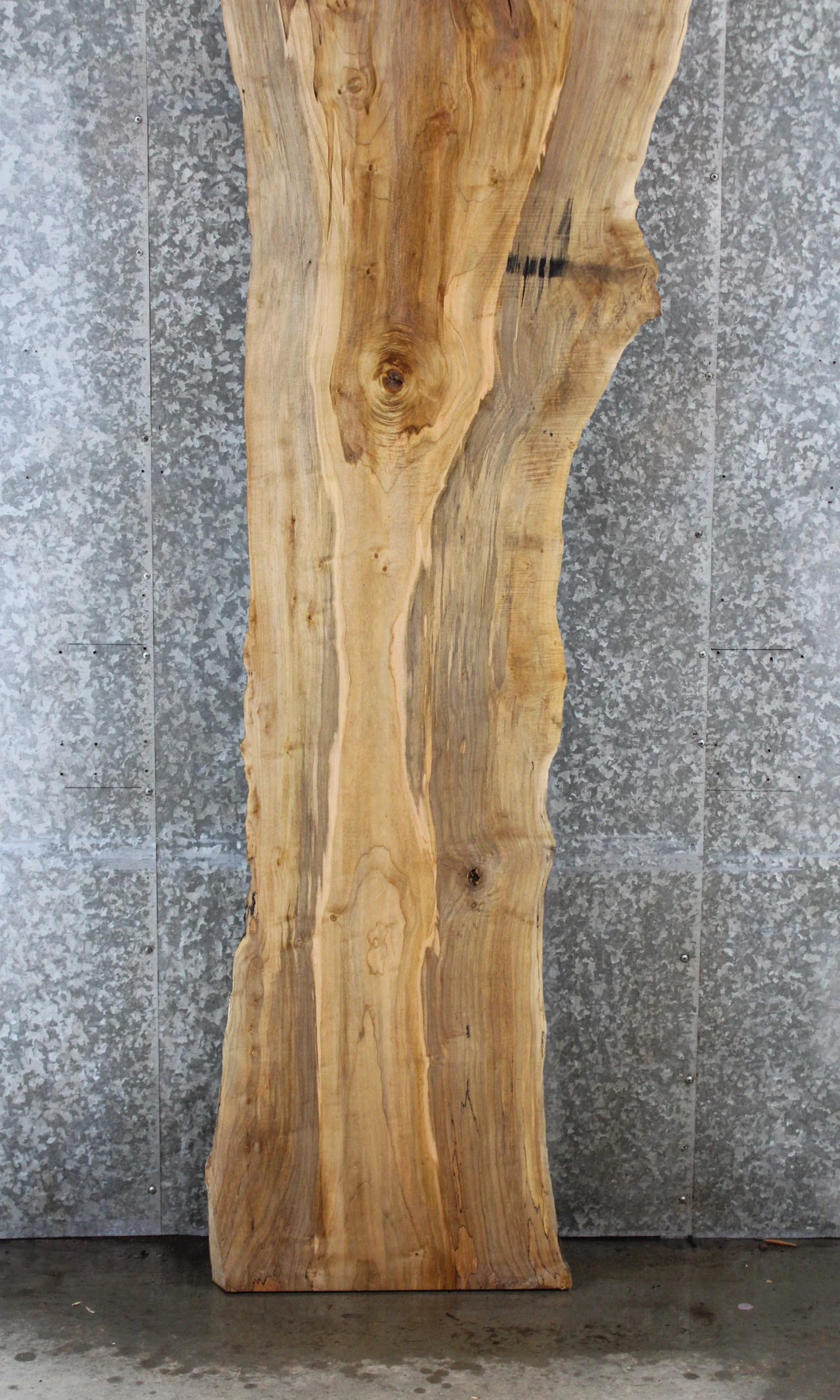 Rustic Spalted Maple Bar Top/Console Table Crotch Slab 20652