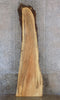Thumbnail for Maple Natural Edge Bar/Reception Table Top Slab CLOSEOUT 20677