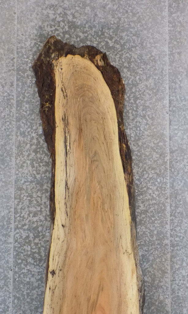 Maple Natural Edge Bar/Reception Table Top Slab CLOSEOUT 20677