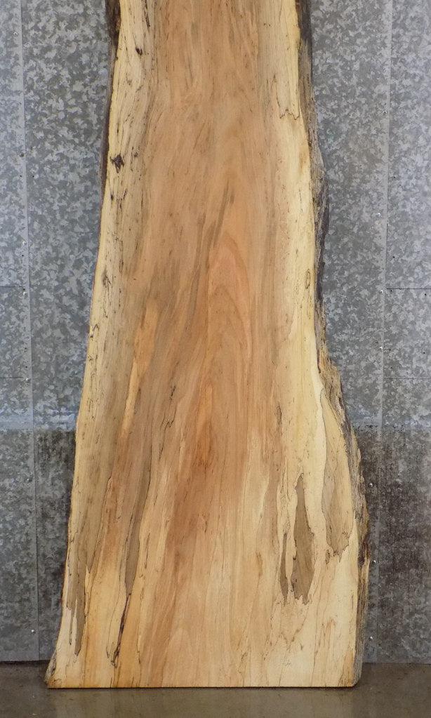 Maple Natural Edge Bar/Reception Table Top Slab CLOSEOUT 20677