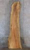 Thumbnail for Maple Natural Edge Bar/Reception Table Top Slab CLOSEOUT 20677