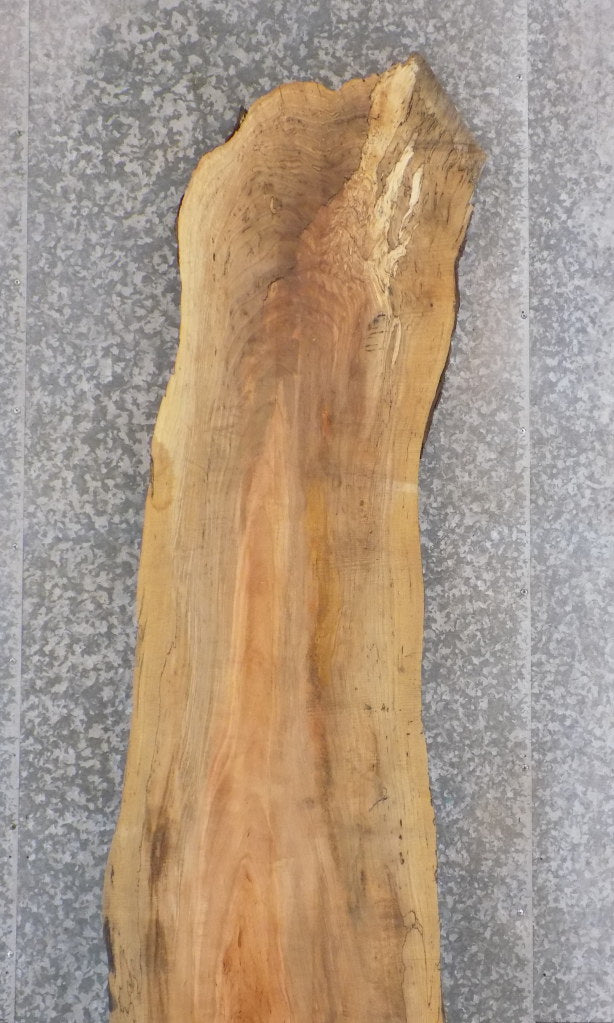 Maple Natural Edge Bar/Reception Table Top Slab CLOSEOUT 20677
