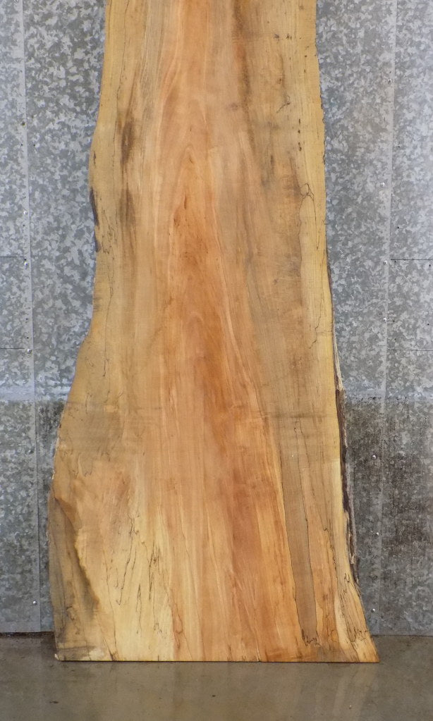 Maple Natural Edge Bar/Reception Table Top Slab CLOSEOUT 20677