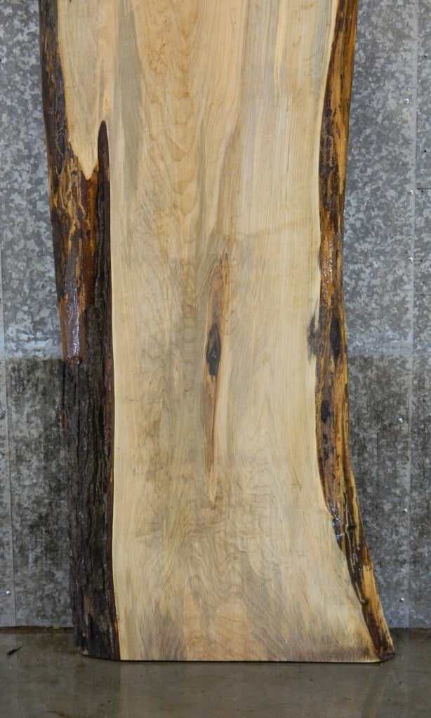 Natural Edge Maple Bar/Table Top Wood Slab CLOSEOUT 20690
