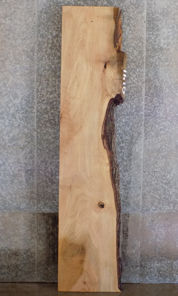 Salvaged Live Edge Maple Headboard/Bar/Table Top Slab CLOSEOUT 20692