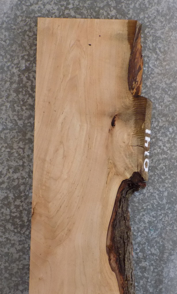 Salvaged Live Edge Maple Headboard/Bar/Table Top Slab 20692
